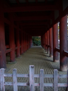 P1060230.jpg